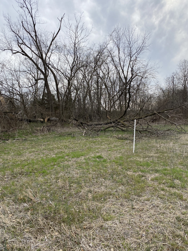 67175277196  CA97DFA5 2004 47A9 913E 6327B57C74A0