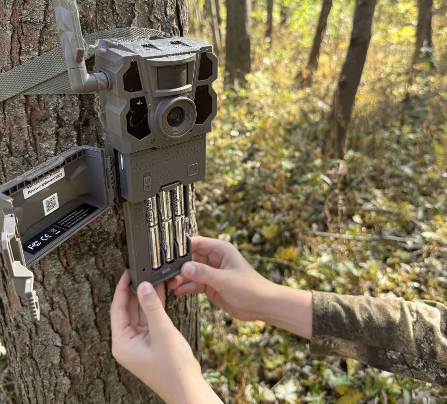 IMG_2112V2 IMG 2112V2